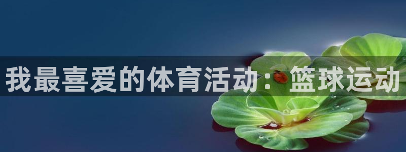 熊猫体育比赛直播