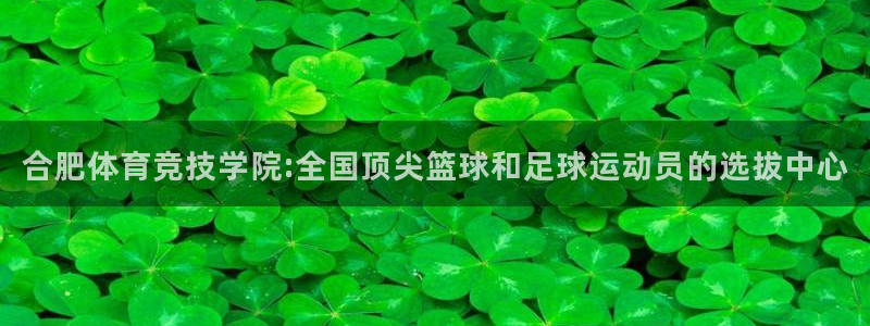 熊猫体育网站