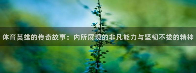 熊猫体育文化有限公司