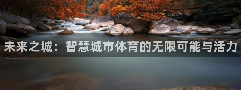 熊猫体育v3.新网页.org