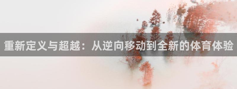 中山熊猫体育