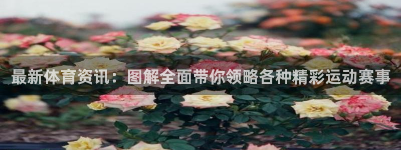 熊猫体育在线