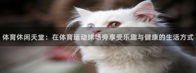 动感熊猫体育公园