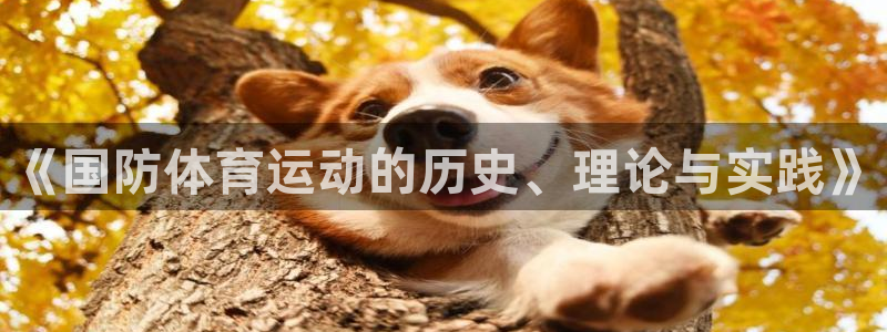 中山熊猫体育