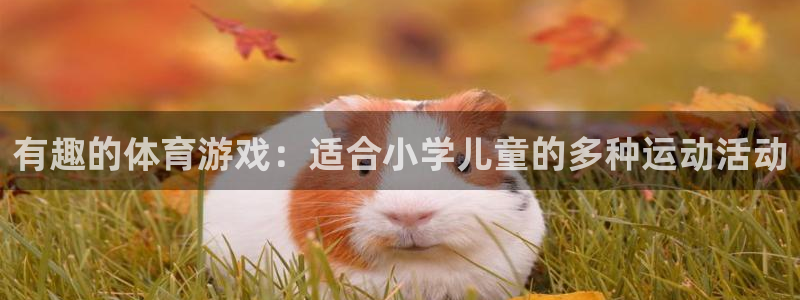 熊猫体育app下载安装