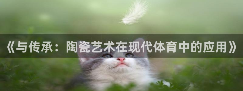 熊猫体育直播