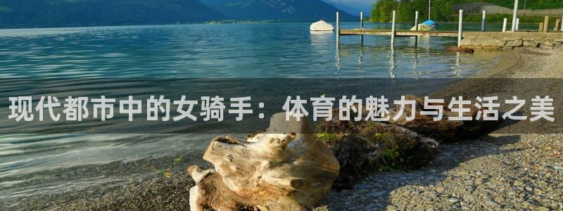 熊猫体育在线观看
