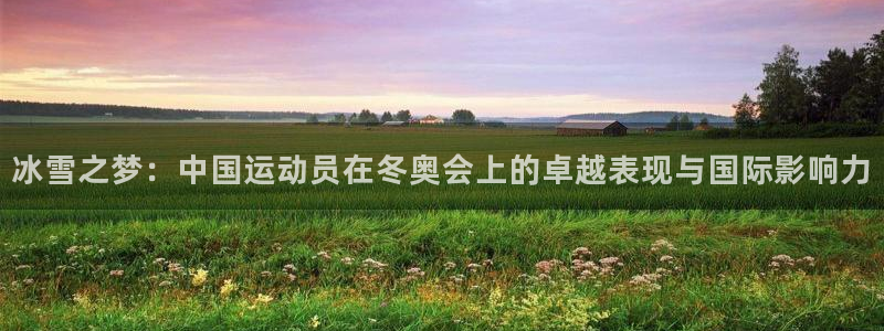 下载熊猫体育