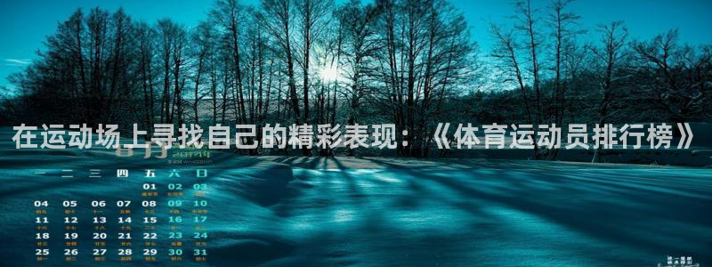 成都金熊猫体育