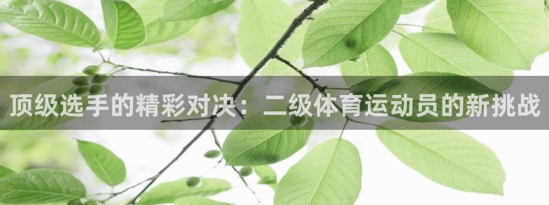 熊猫体育官网首页入口